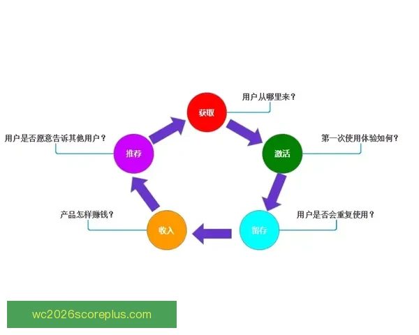 基于数据驱动的竞技体育动作表现与技术优化研究 基于数据驱动的竞技体育动作表现与技术优化研究